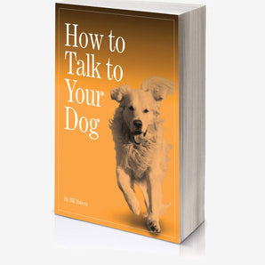 Your Talking Dog – Understanding Canine Behaviour & Body Language Guide